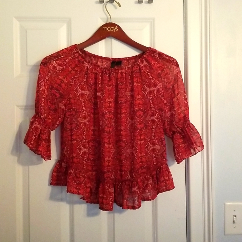 Petticoat Alley Sheer Top, Red, Floral Pattern, Small